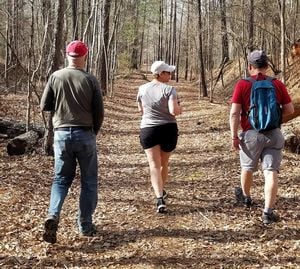 Trail Hike