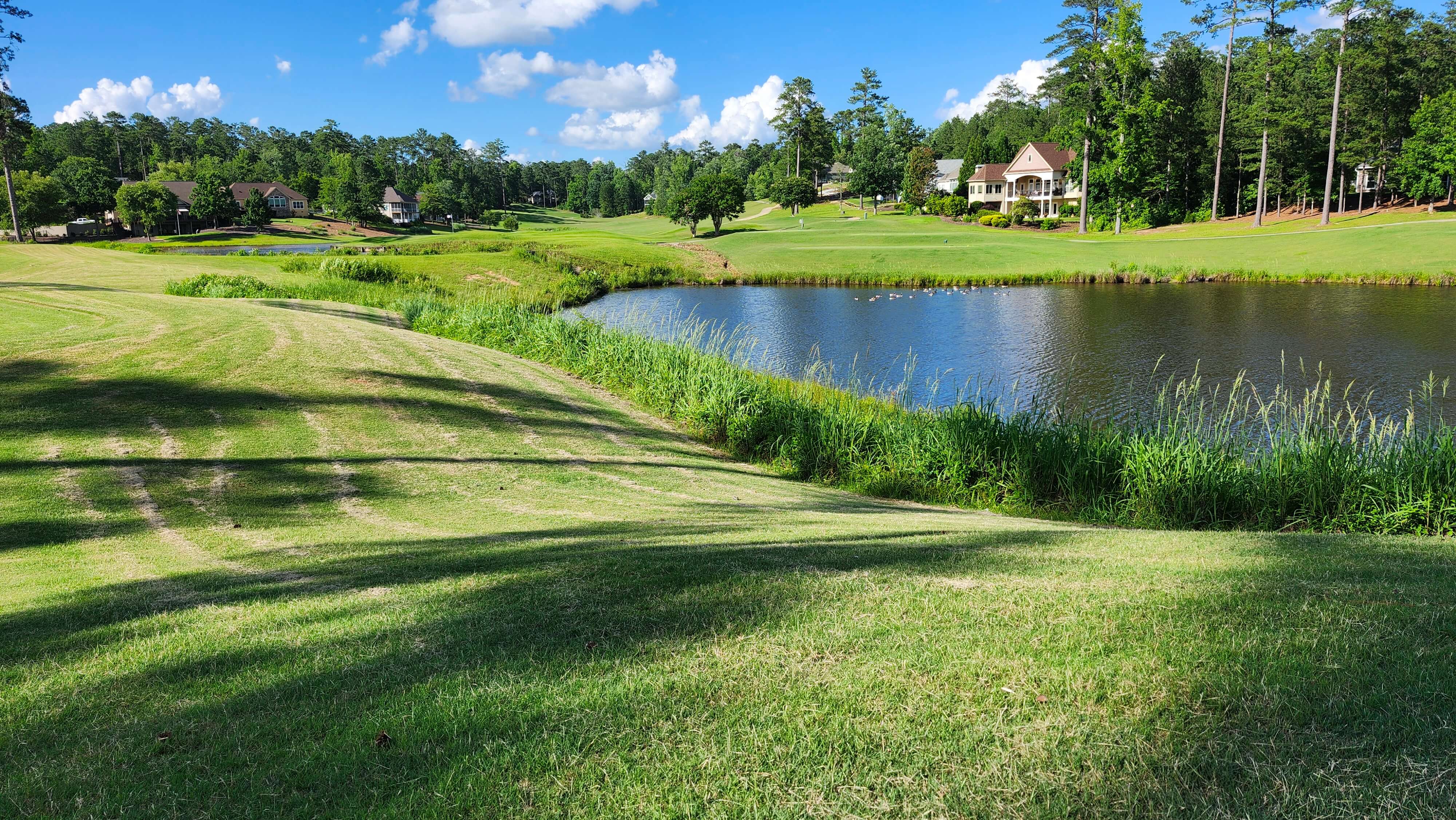 Golfers at Tara Golf Course in Savannah Lakes Village teeing off on a clear morning