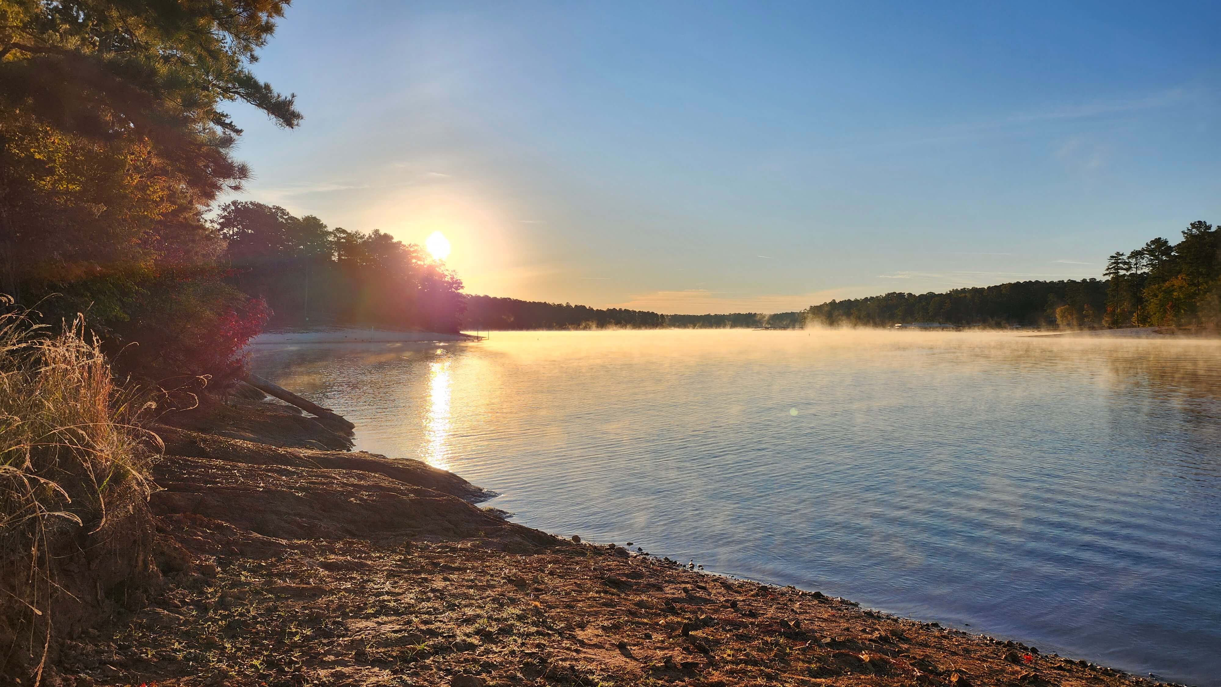 Sheltered cove on Lake Thurmond bordered by pines with mirrored reflections