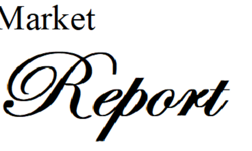 Savannah Lakes Village Market Report - 202…
