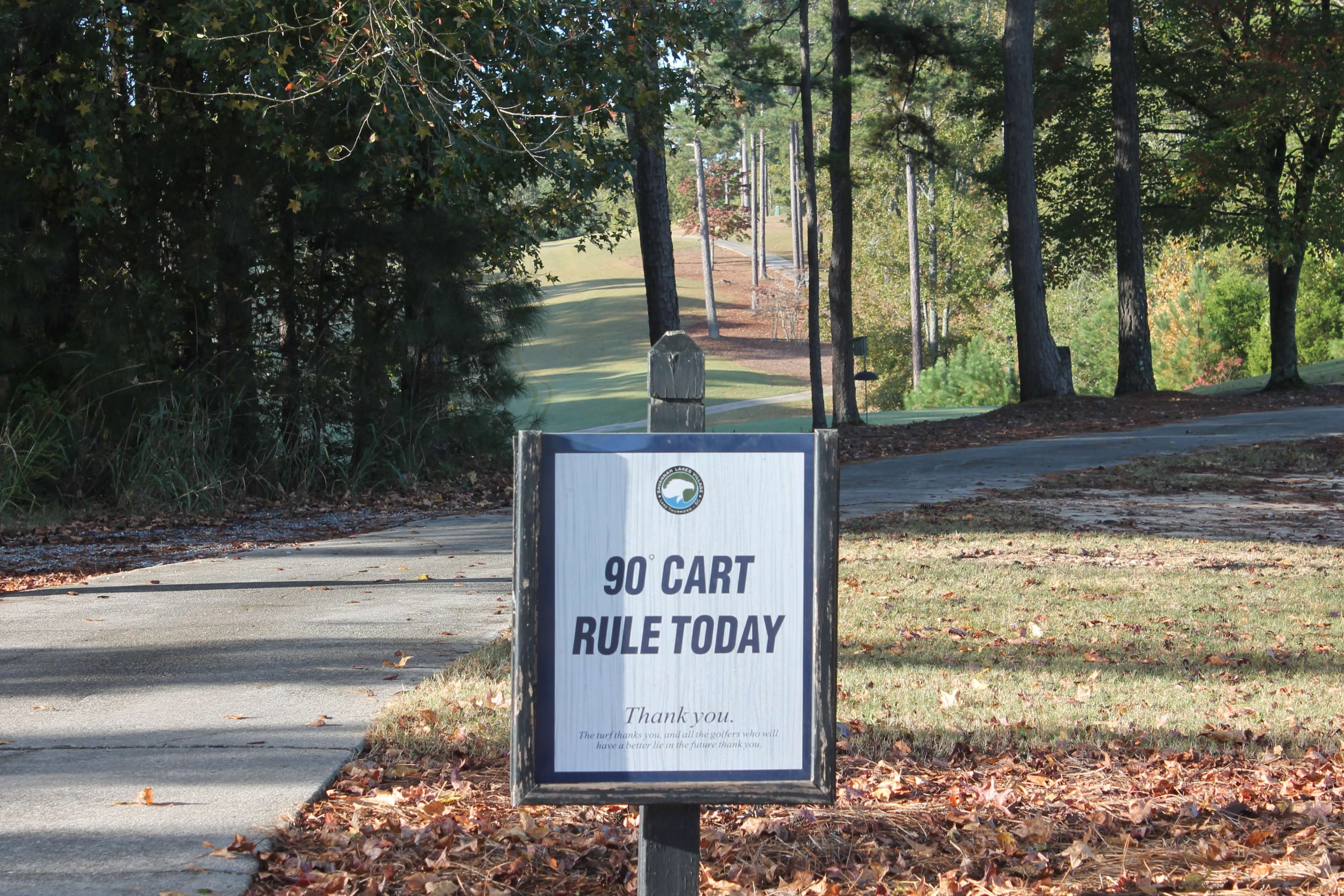 Golfers playing a winter round at Tara Golf Course in Savannah Lakes Village with clear skies