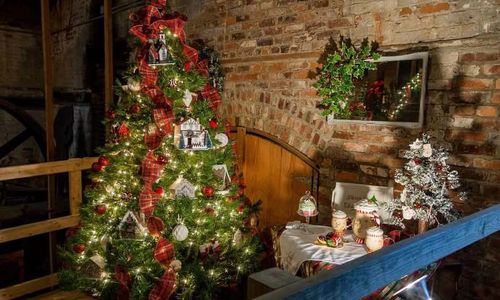 Holiday Living in Savannah Lakes Village