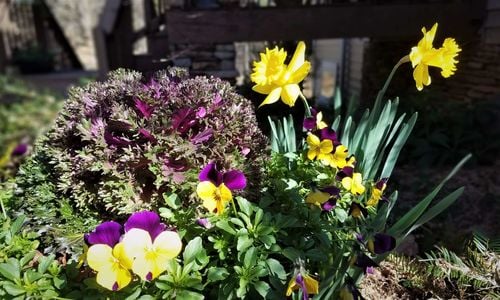 February Home Prep Guide