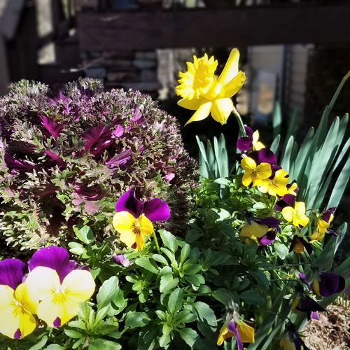 February Home Prep Guide