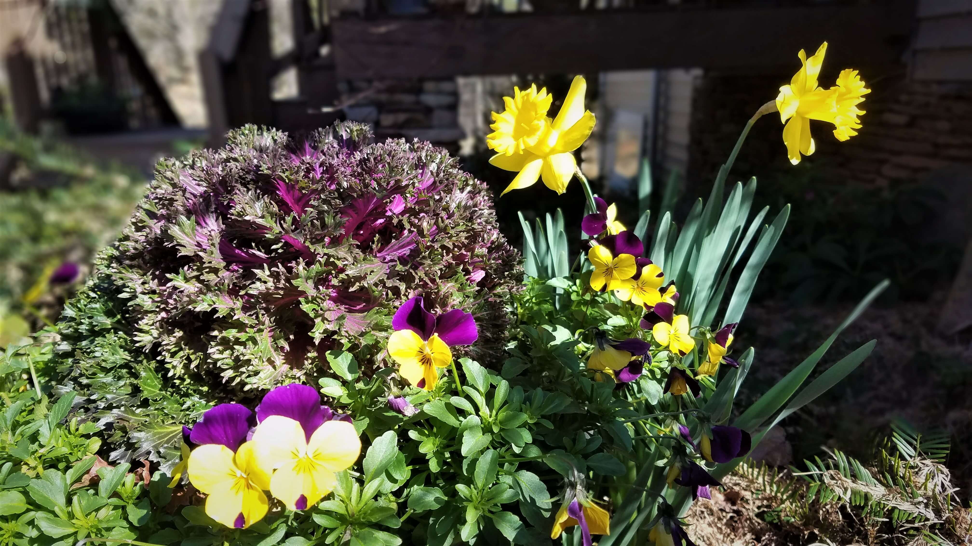 Blooming plants are great touches for spring seller preparation