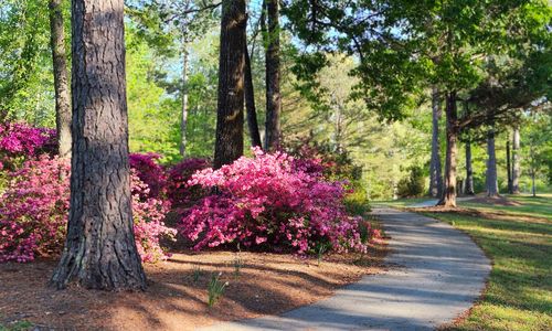 Thinking of Visiting This Spring? How to E&hellip;