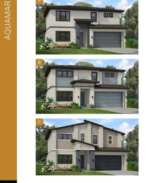 Paradisco Grande Homes For Sale