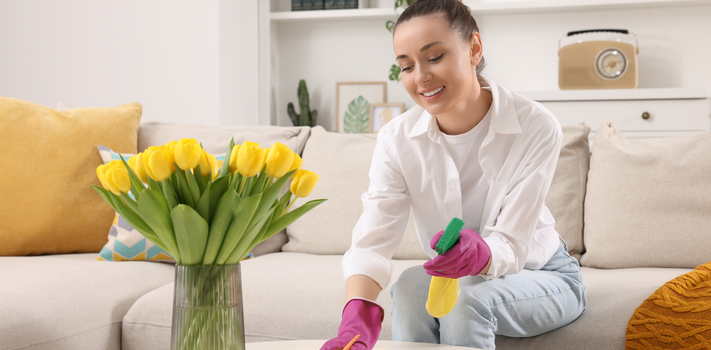 Spring Cleaning. Young Woman Tidying up Living Room at Home