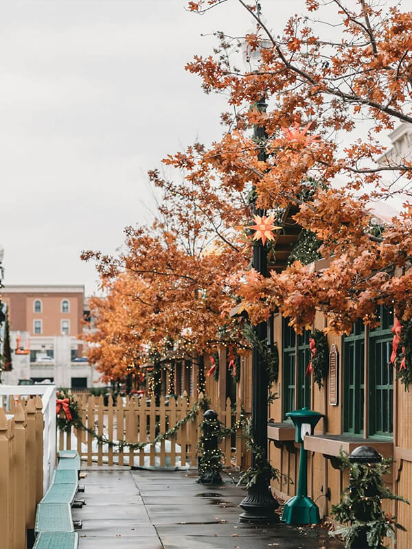 explore-eclectic-and-diverse-lifestyles-indianapolis