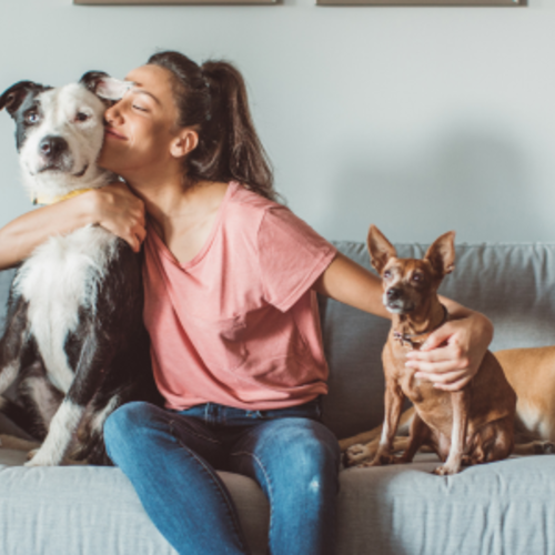 Pet-Friendly Areas in Indianapolis: Tips for pet owners looking for a new home