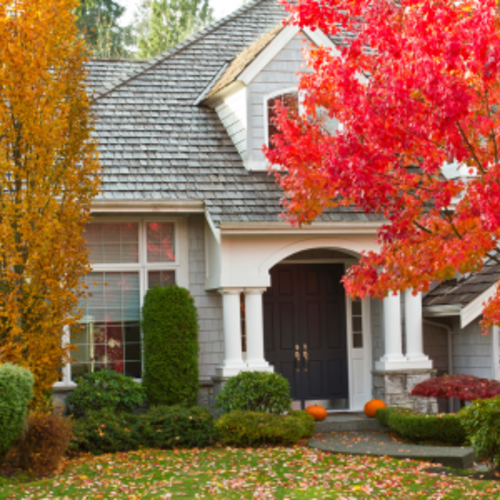 The Importance of Curb Appeal in the Fall Season