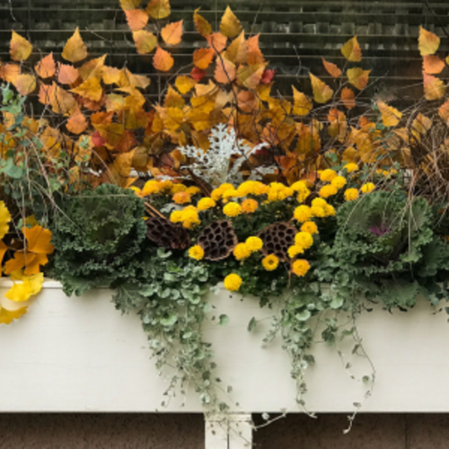 Fall Landscaping Tips to Enhance Your Home's Appeal