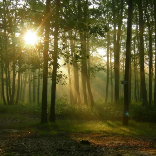 Route 206 Practically Runs Through All Of New Jersey And It’s A Beautiful Drive