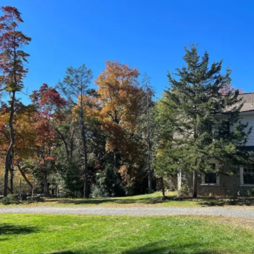 A Bit Of An Unexpected Natural Wonder, Few People Know There Is An Insect and Reptile Sanctuary Hiding In New Jersey