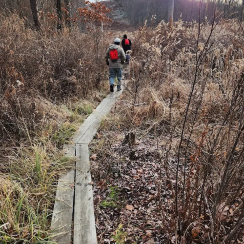 The Turkey Mountain Via Red And Yellow Trail Is One Of The Best Waterfall Hikes In New Jersey