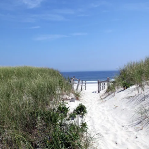 Best State Park Beaches in New Jersey to Visit to Close Out Summer
