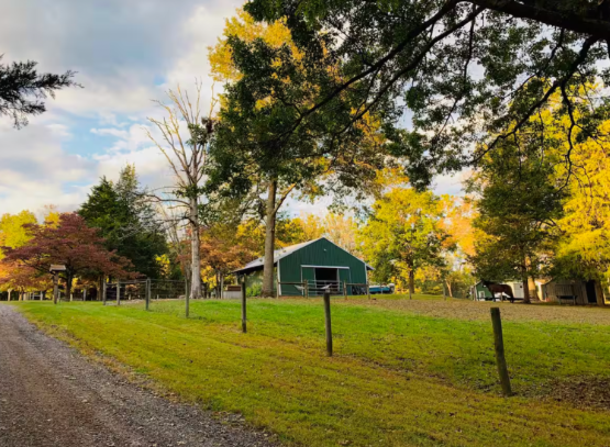 Screenshot 2025-08-23 034555