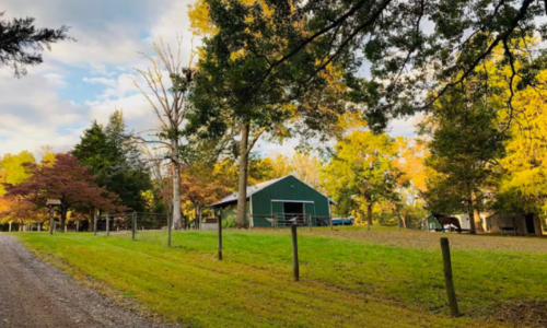 Play With Farm Animals When You Stay at …