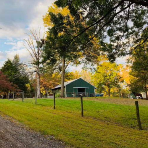 Play With Farm Animals When You Stay at This Charming New Jersey Farm