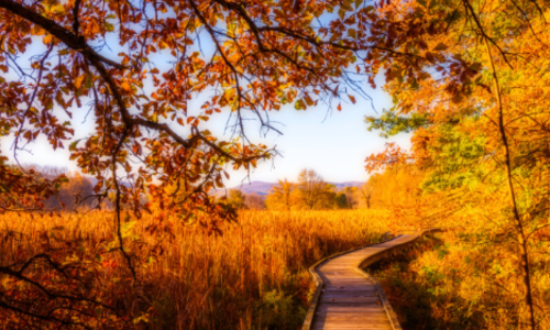 Here Are the Best Times and Places to …