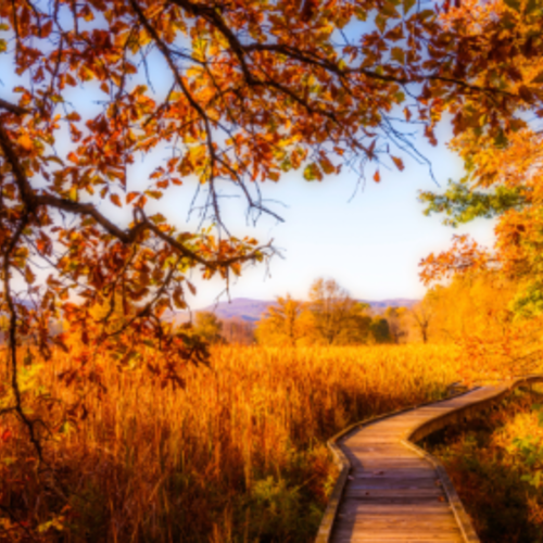 Here Are the Best Times and Places to View New Jersey’s Fall Foliage in 2025