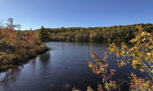 Abram S. Hewitt State Forest Is an Underrated …