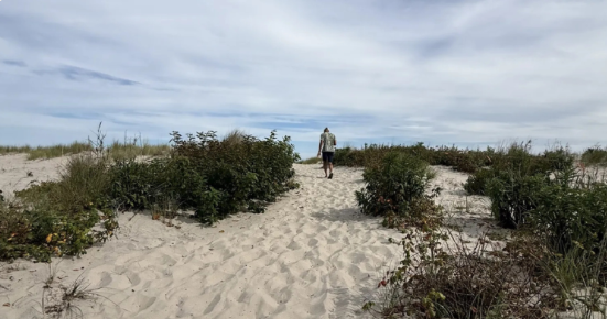 Screenshot 2025-11-21 055259