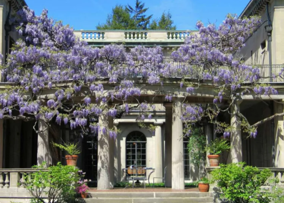 Screenshot 2025-12-30 075831