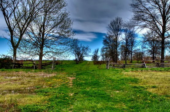 Screenshot 2026-02-13 032504