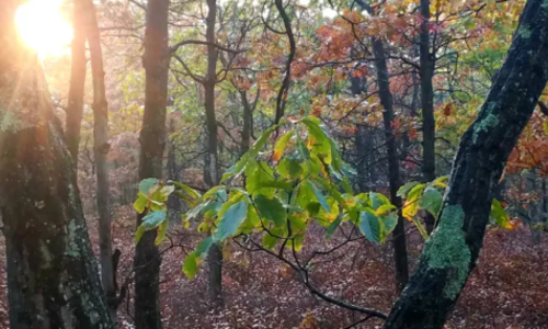 You Can Hike in Two States in One Day on &hellip;