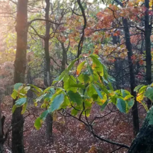 You Can Hike in Two States in One Day on This New Jersey Trail