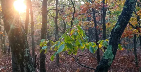 Screenshot 2026-03-14 041002