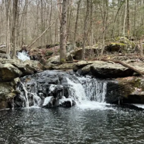4 New Jersey Airbnbs Near Waterfall Trails You’ll Want to Explore