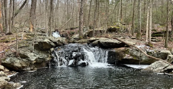 Screenshot 2026-04-03 034800