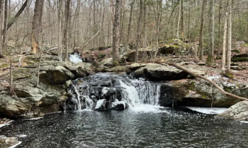 4 New Jersey Airbnbs Near Waterfall Trails You’ll Want to &hellip;