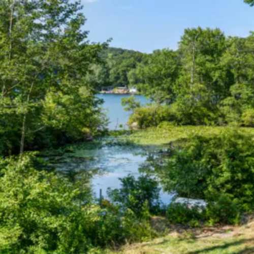 This New Jersey Airbnb on Cranberry Lake Has a Cedar Barrel Sauna and Unreal Water Views