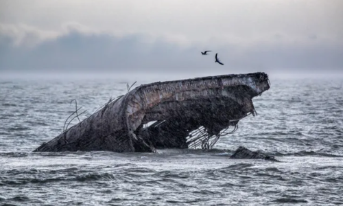 The Hidden Attraction in New Jersey That People Still Seek &hellip;