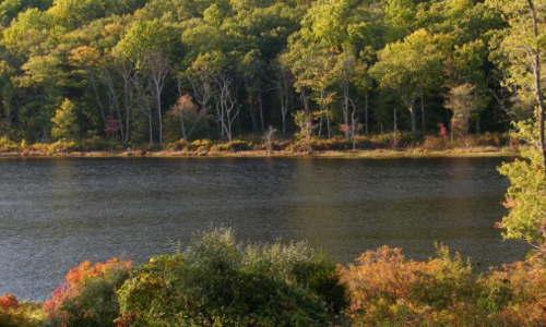 New Jersey Has a Town That Feels Like Friday the &hellip;