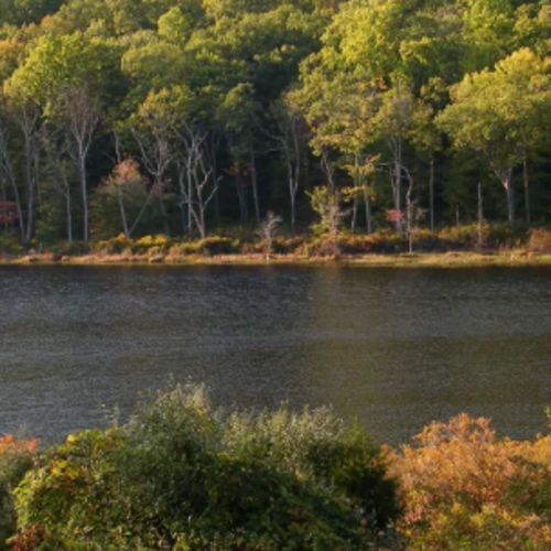 New Jersey Has a Town That Feels Like Friday the 13th, and Fans Will Recognize It Instantly