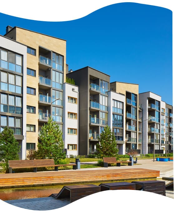 MF 2-4 New Img 2 (1)