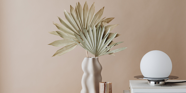 Act Fast and Win Big: Master Anaheim Starter &hellip;