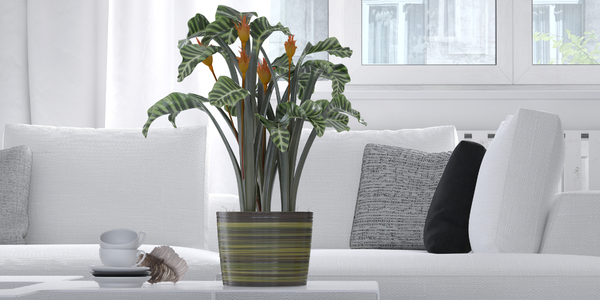 First-Time Luxury Buyers in Fullerton: Your Game Plan &hellip;