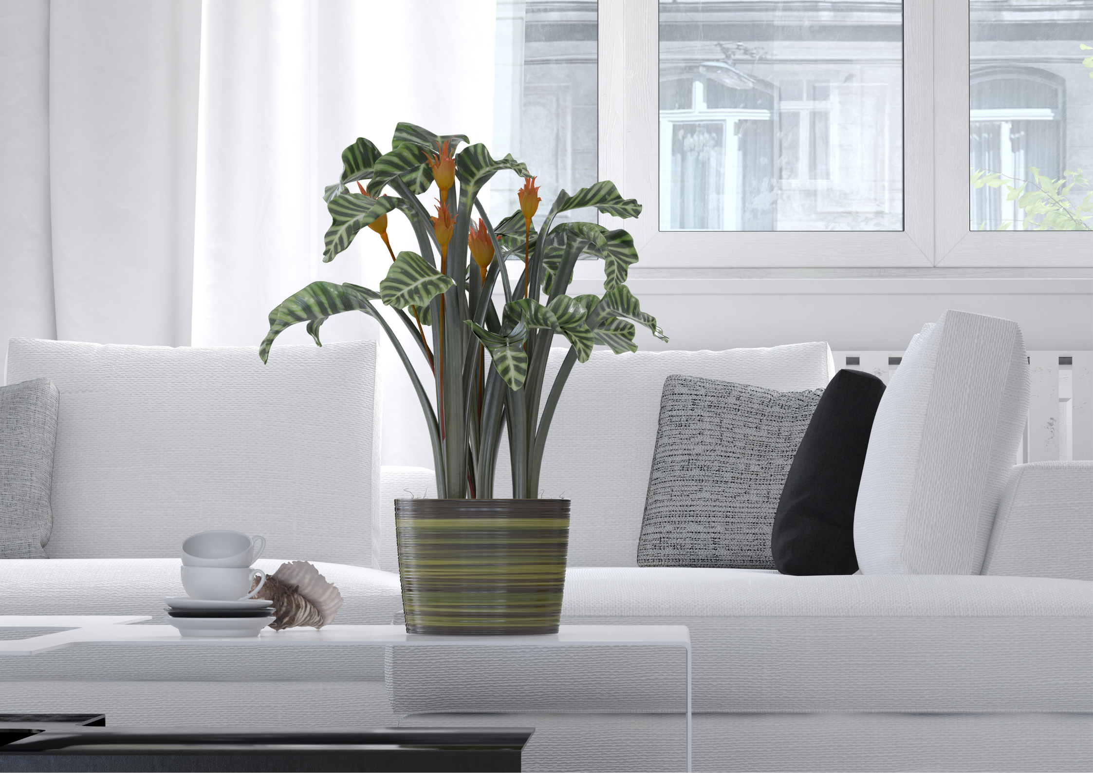 Black Closed Sign Landscape Poster (26)