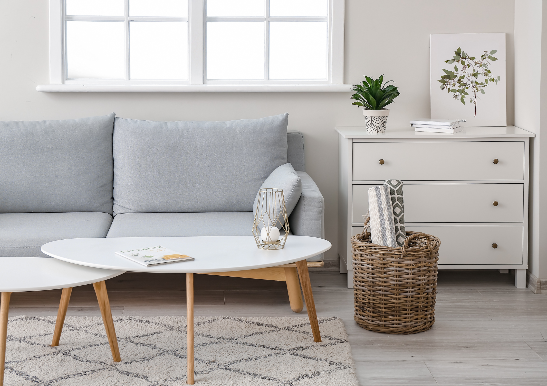 Black Closed Sign Landscape Poster (44)