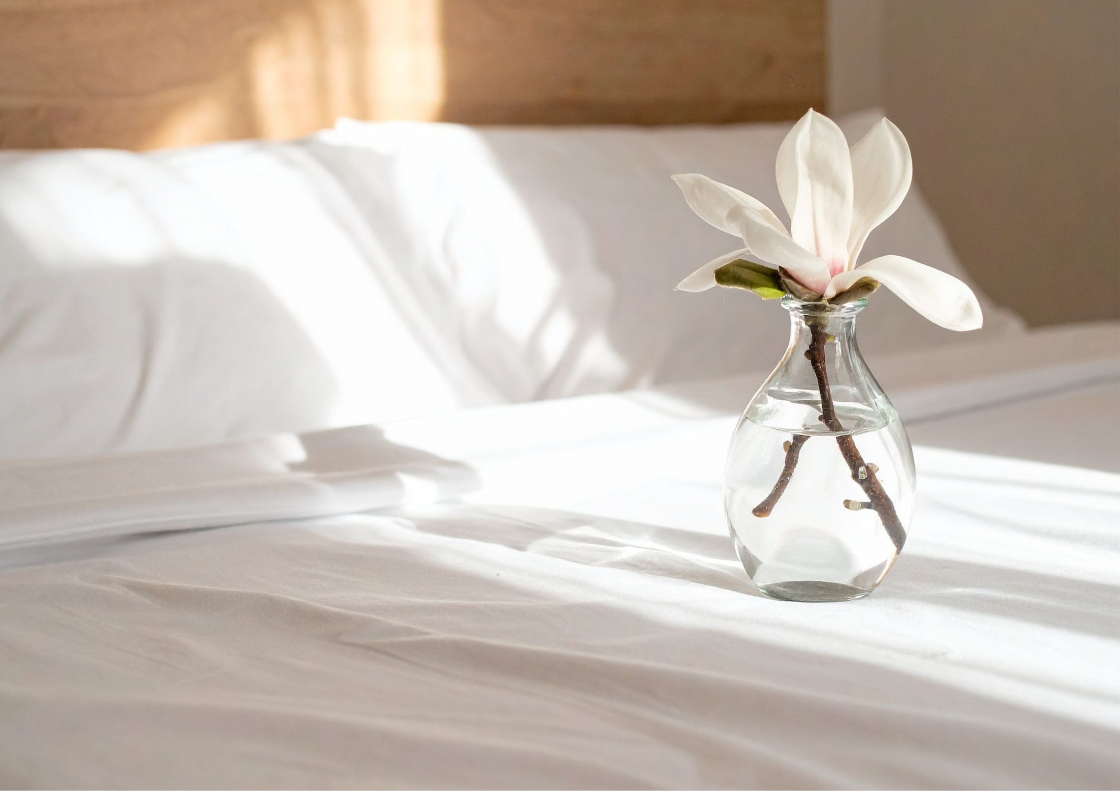 Black Closed Sign Landscape Poster (51)