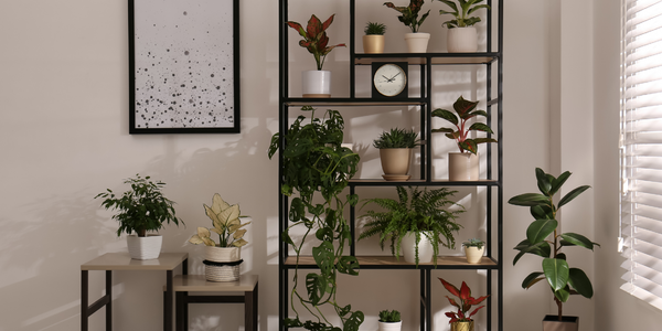 Sell Smart, Sell Fast: The Realtor Who Nails &hellip;