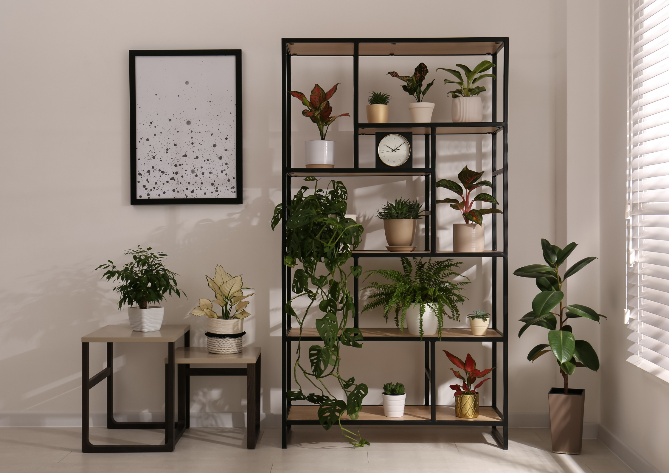 Black Closed Sign Landscape Poster (65)