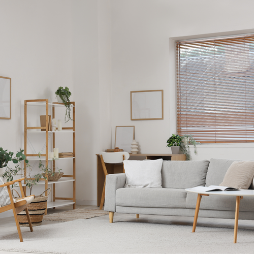 Sellers Needing Guidance: Staging and Pricing Right