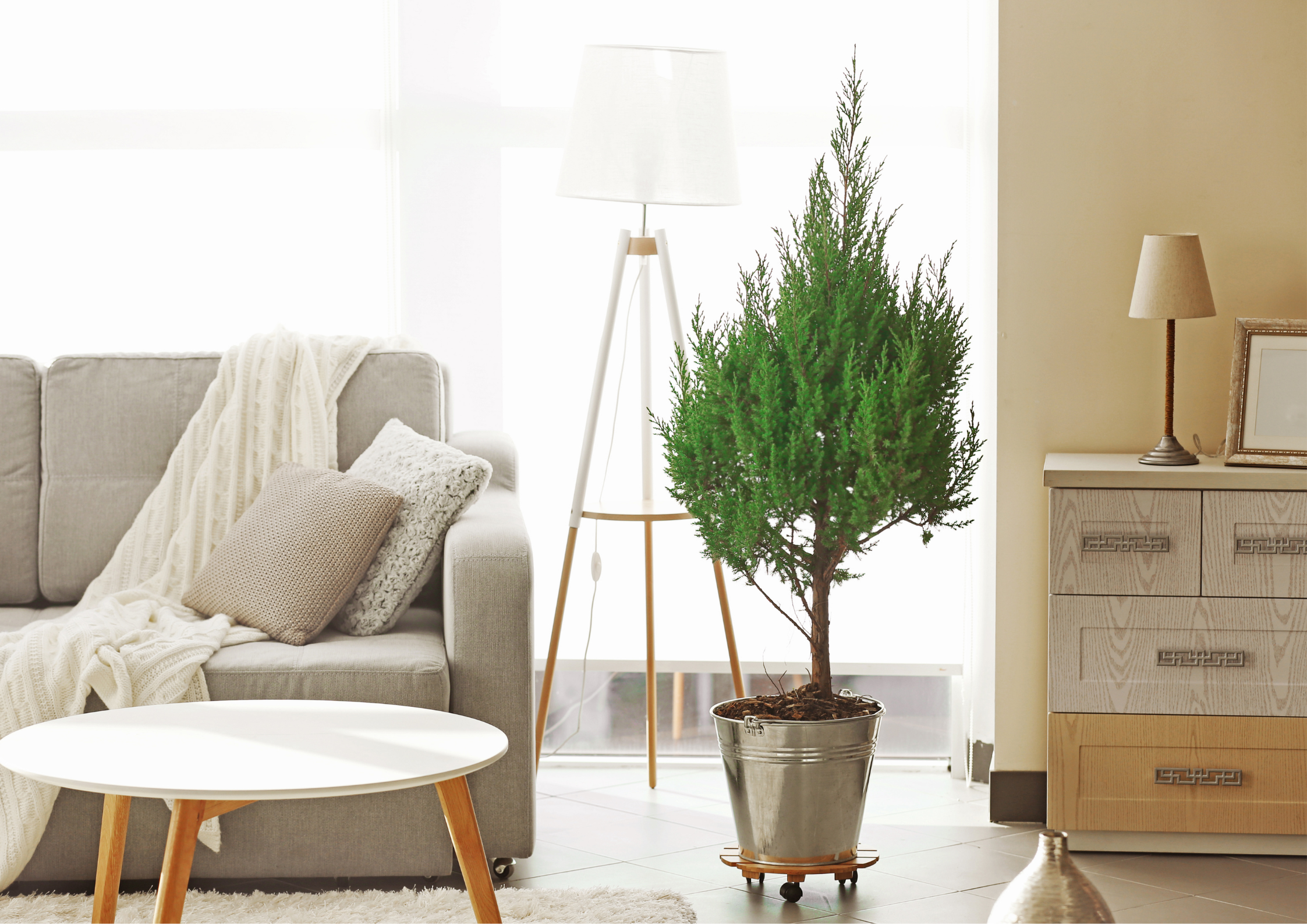 Black Closed Sign Landscape Poster (83)