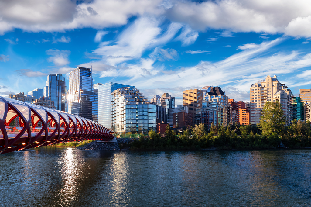 Frequently Asked Questions About Cash Offers (And Honest …